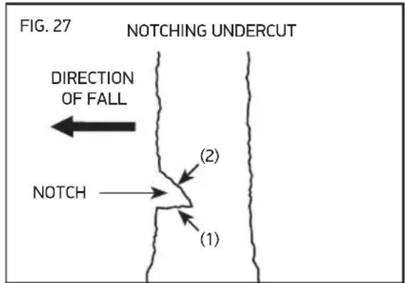OREGON SCIENTIFIC CS1500091 - FELLING A TREE - 2