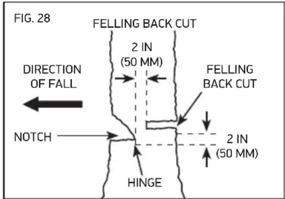 OREGON SCIENTIFIC CS1500091 - Felling Back Cut - 1