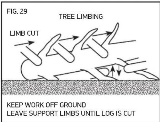 OREGON SCIENTIFIC CS1500091 - LIMBING A TREE - 1
