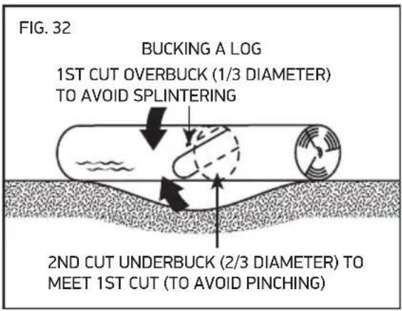 OREGON SCIENTIFIC CS1500091 - BUCKING A LOG - 3