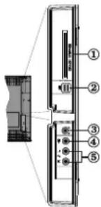 CONTINENTAL EDISON 81HD905V - Ansicht der Anschlüsse – Anschlüsse an der Seite - 1