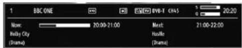 CONTINENTAL EDISON 81HD905V - On-Screen Information - 1