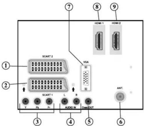 CONTINENTAL EDISON 81HD905V - Ansicht der Anschlüsse – Anschlüsse an der Rückseite - 1