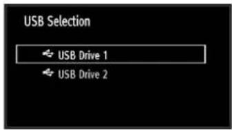 CONTINENTAL EDISON 81HD905V - Media Playback Using Media Browser - 2