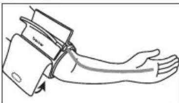 BEURER BM 51 easyClip - Colocacion del brazalete - 4