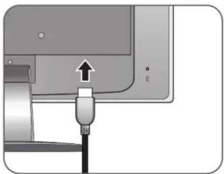 BENQ GL950 - Connectez le cable video. - 6