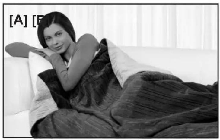 Dreamland F2001 - GUIDE ILLUSTRÉ / GIDS MET AFBEELDINGEN / GUIDA ILLUSTRATIVA / GUIA ILLUSTRATIVA - 1