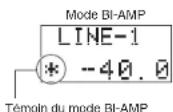 MARANTZ PM10 - Connexion complète double amplificateur stéréo - 2