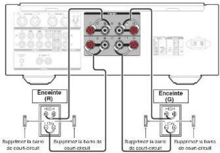MARANTZ PM10 - Connexion à double câblage - 1