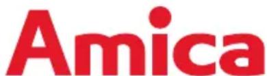 AMICA IN 600 BSC - SPIS TRESCI - 3