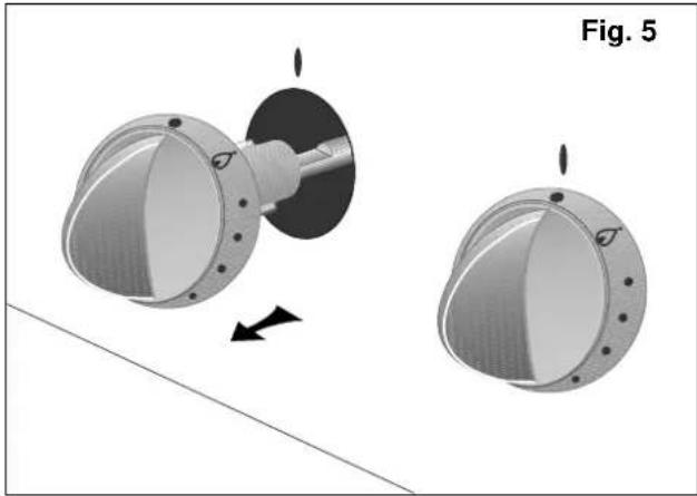 ARTHUR MARTIN ELECTROLUX CG5035W - Remplacement de l'injecteur : - 1