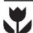 ARTHUR MARTIN ELECTROLUX ASF 1649 - Pour l'emploi de détergent en pastilles, procédez comme suit: - 1