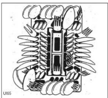 ARTHUR MARTIN ELECTROLUX ASF 1649 - Informations pour essais comparatifs - 3