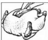 ARTHUR MARTIN ELECTROLUX EG2628N - Couvrir - 1