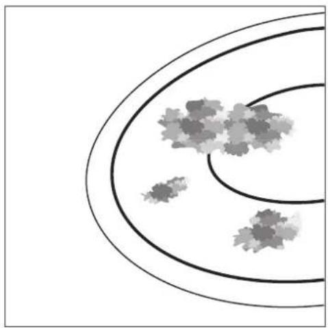 ARTHUR MARTIN ELECTROLUX DV1902N44C - Salissures spécifiques - 3