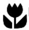 ARTHUR MARTIN ELECTROLUX ASF 2790 - Les symboles suivants sont utilisés dans ce document : - 3