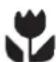 ARTHUR MARTIN ELECTROLUX ASF 2435 - Stockage - 1