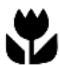 ARTHUR MARTIN ELECTROLUX FE 5426 W - Les symboles suivants sont utilisés dans ce document : - 3