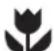 ARTHUR MARTIN ELECTROLUX AWF 1273 - Comment direvee notice d'utilisation? - 3