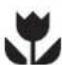 ARTHUR MARTIN ELECTROLUX AR6412T - Comment direvee notice d'utilisation? - 4
