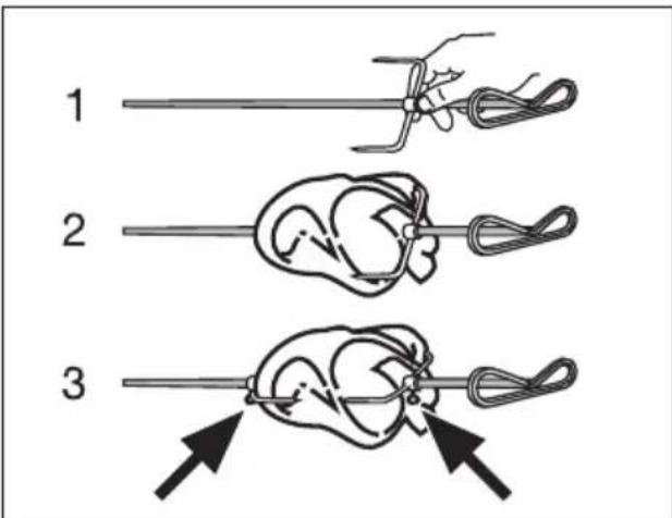 ARTHUR MARTIN ELECTROLUX AOC 45440 K - Placer la pièce à rôtir - 1