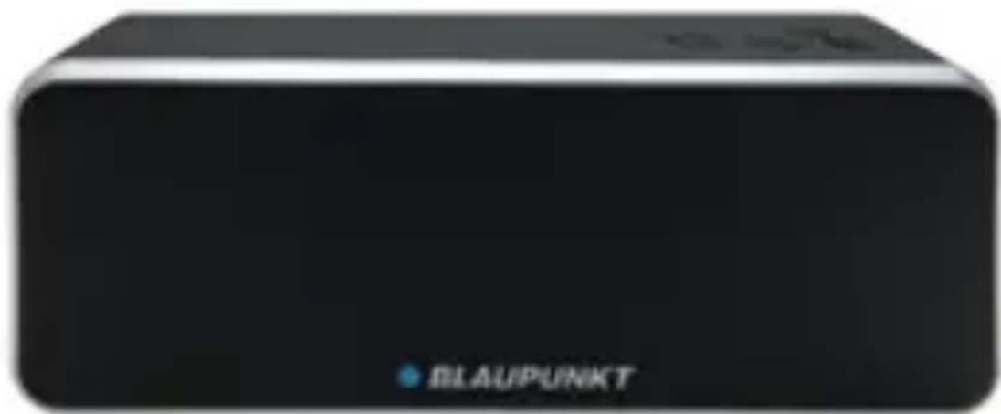 BLAUPUNKT BT 6 - Instruction Manual - 1