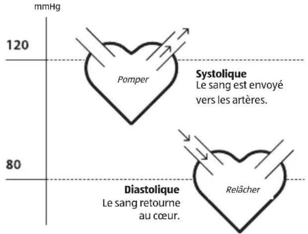 ADE FITvigo BPM 1600 - Tension systolique et diastolique - 1