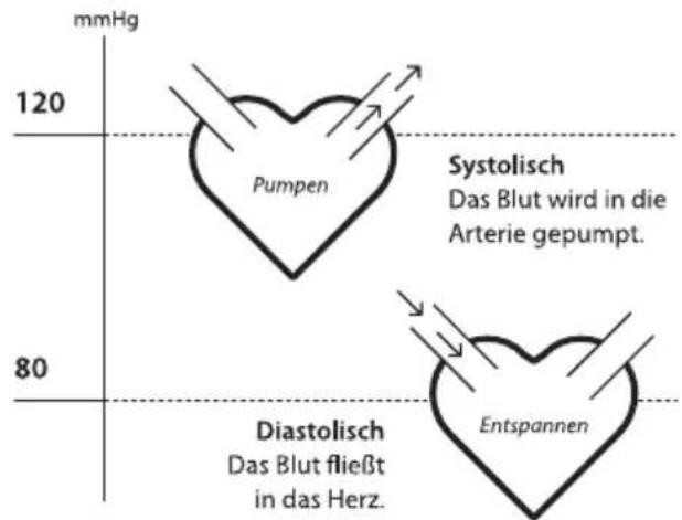 ADE FITvigo BPM 1600 - Systolischer und diastolischer Blutdruck - 1