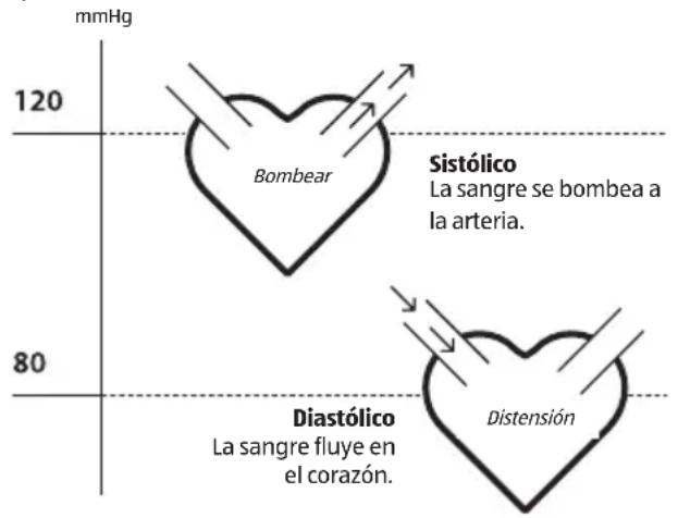 ADE FITvigo BPM 1600 - Tensión arterial sistólica y diastólica - 1