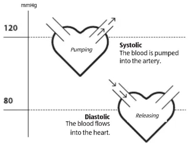 ADE FITvigo BPM 1600 - Systolic and diastolic blood pressure - 1