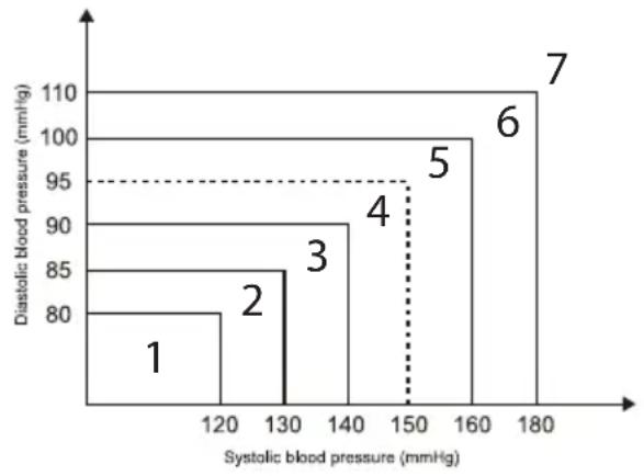 ADE FITvigo BPM 1600 - Standard-Blutdruck-Klassifikation - 1