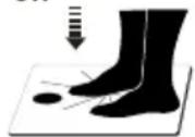 ADE Feline BA 1302 - Symbols on the scales - 1