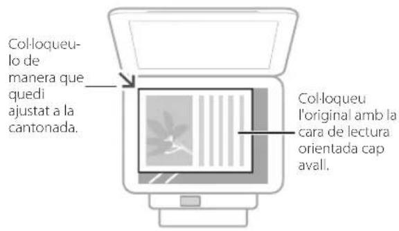 CANON iSENSYS MF113w - Recordeu abans d'iniciar el funcionament - 1