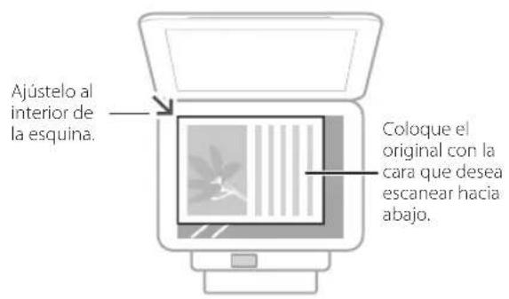 CANON iSENSYS MF113w - Recuerde antes de iniciar la operación - 1