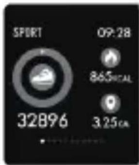 DENVER SW660 - Ihopparning - 1