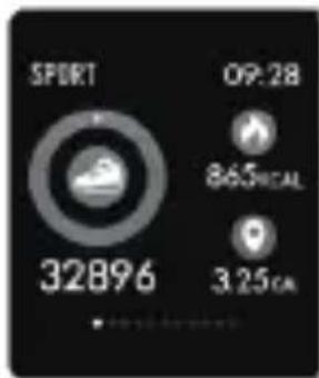 DENVER SW660 - Pairing - 1