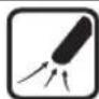 BOSCH UniversalGardenTidy - __SUPPIMER__ - 10
