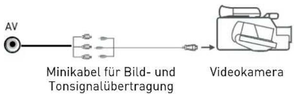 SEG Valencia - Verwenden Sie ein Scart-Adapterkabel - 1