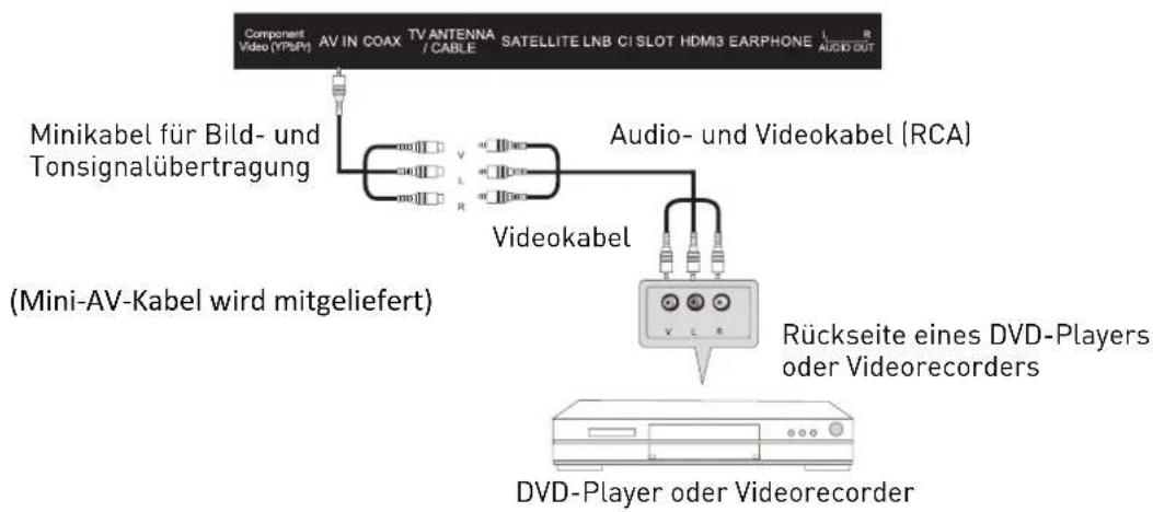 SEG Valencia - AV-Anschluss - 1