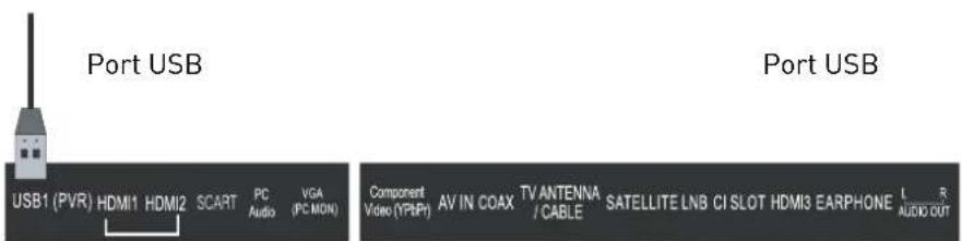 SEG Valencia - Connexion USB - 1