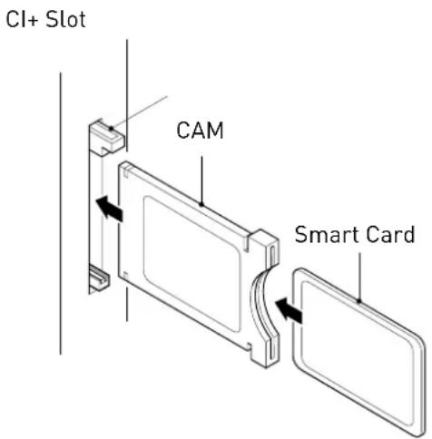 SEG Michigan - Common Interface - 1