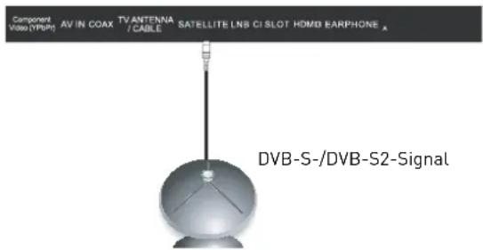 SEG Michigan - Satellitenantenne anschließen - 1
