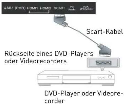 SEG Michigan - DVD-Player anschließen - 2