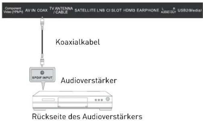 SEG Michigan - Koaxialen digitalen Audioausgang verwenden - 1
