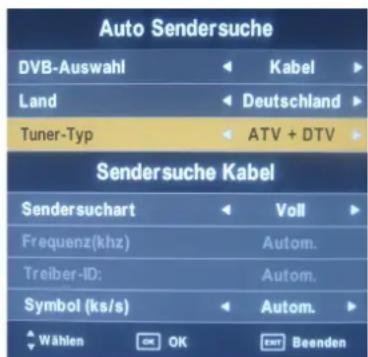 SEG Michigan - Automatische Sendersuche - 1