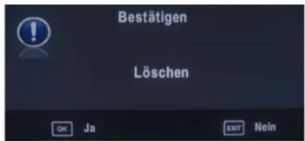 SEG Michigan - Satelliten löschen - 1
