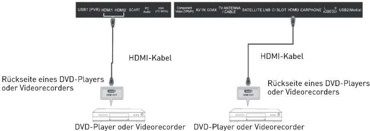 SEG Michigan - HDMI-Anschluss - 1