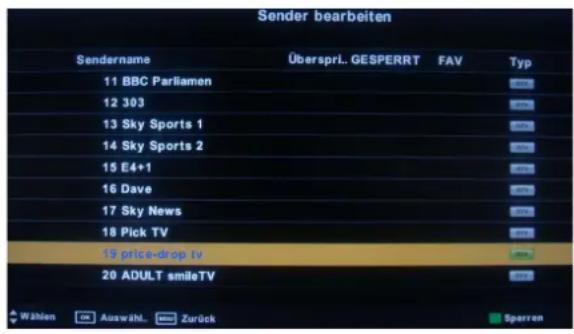 SEG Michigan - SENDER BEARBEITEN - 1