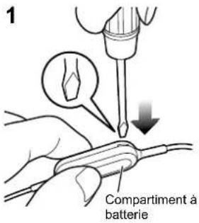 PANASONIC RPBTS10E - PourPTRRer la baterie lors de la mise aux rebuts de cet apparuel - 1