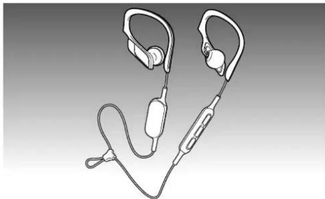 PANASONIC RPBTS10E - 3